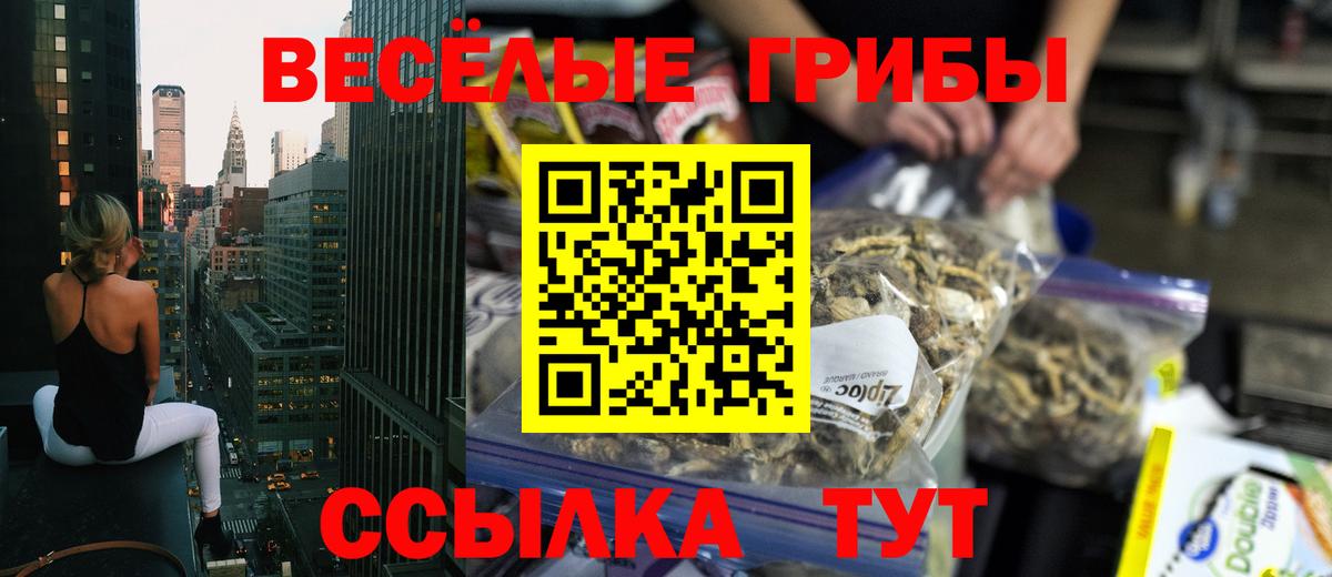 Галлюциногенные грибы Cubensis Электрогорск